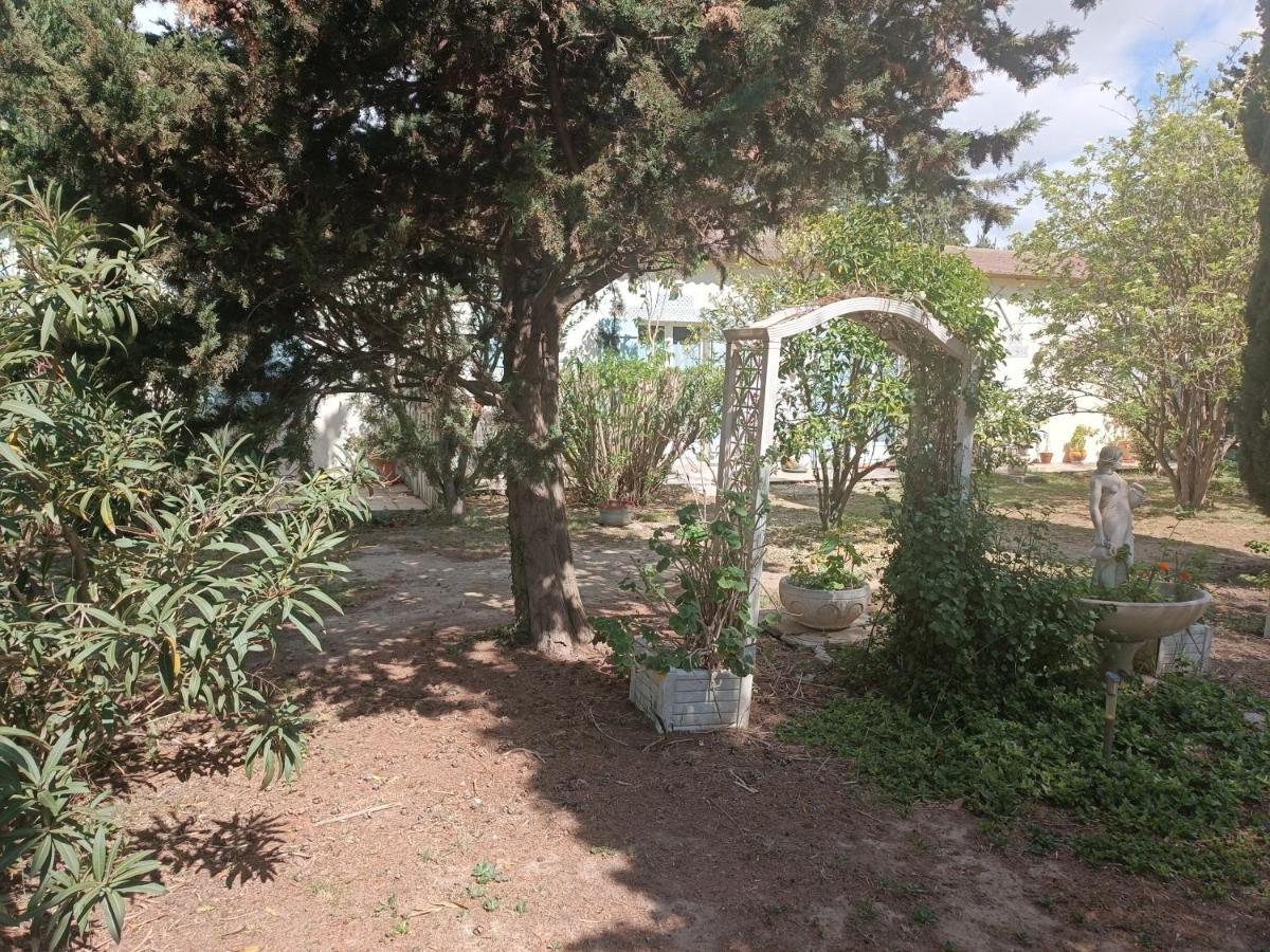 Bed and Breakfast Mas Des Pins Saint-Cyprien  Exterior foto