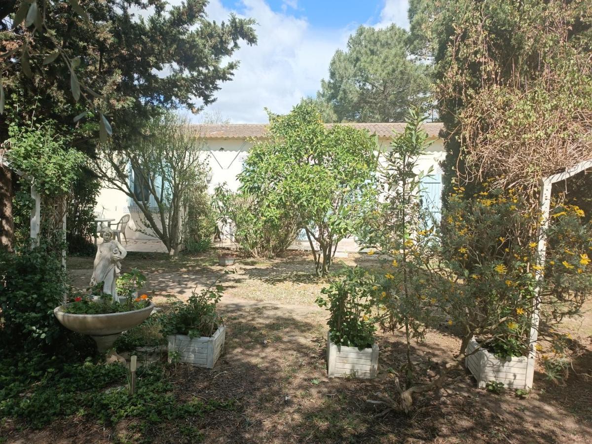 Bed and Breakfast Mas Des Pins Saint-Cyprien  Exterior foto